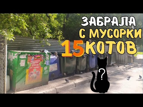 Видео: Не ОЖИДАЛА такого количества КОТИКОВ🙀🙀! Распродала посылку из ИСПАНИИ🇪🇸