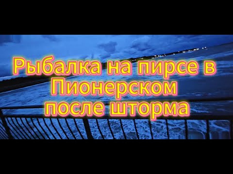 Видео: Рыбалка на пирсе в Пионерском после шторма
