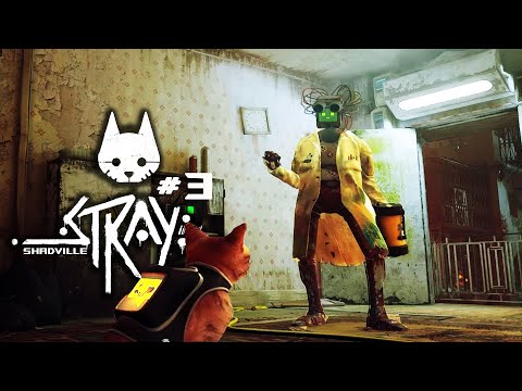 Видео: Тот самый Док ▬ Stray Прохождение игры #3