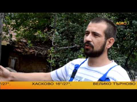 Видео: Защо 29 годишен висшист предпочете селото пред града