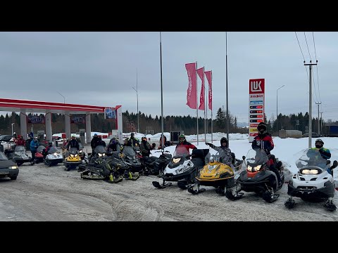 Видео: Пермь 39 снегоходов Запрудские Ложки Копали Все 🔥  #запрудклуб #пермь #snowmobile