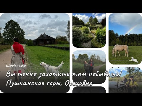 Видео: VLOG #8. Золотая осень в Пушкинских горах
