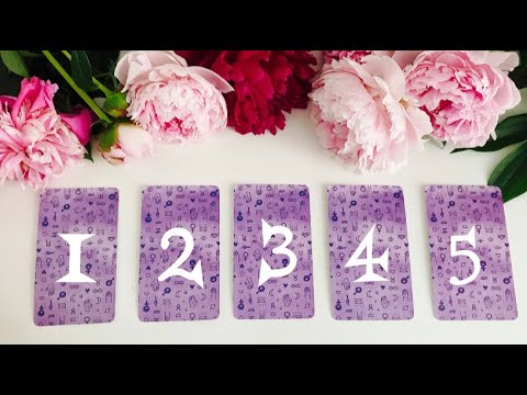 Видео: ДА или НЕТ🔛