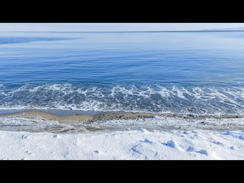 Видео: о. Сахалин, с. Охотское, 21.01.2025