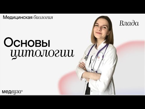 Видео: Основы цитологии | Медицинская биология