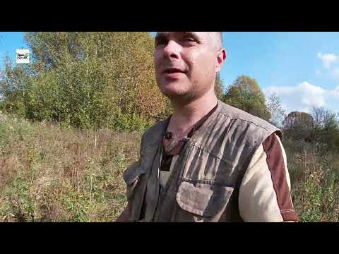 Видео: Осень 2024. В глубинке Костромской области. Пустоши за рекой Туткой.