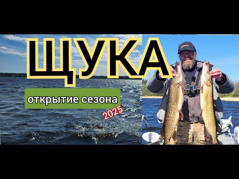 Видео: Щука. Сезон 2025. Троллинг.