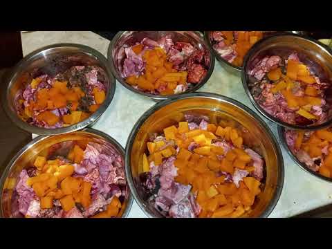 Видео: Кормление собак натуралкой