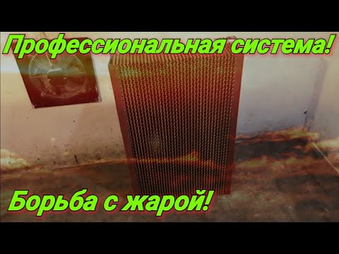 Видео: Профессиональная система охлаждения в птичнике!