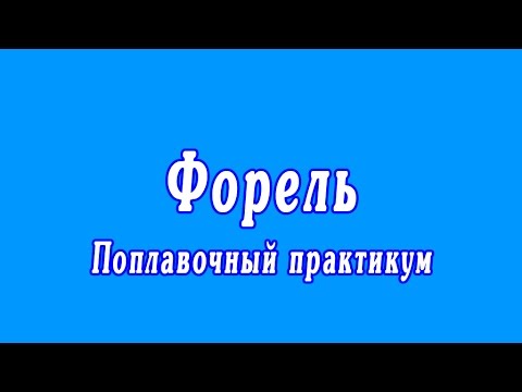 Видео: Форель | Поплавочный практикум