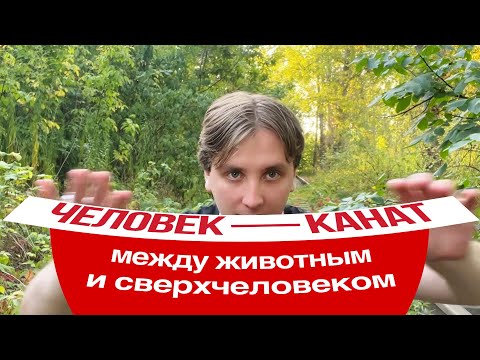 Видео: Философия Фридриха Ницше. Человек — это канат