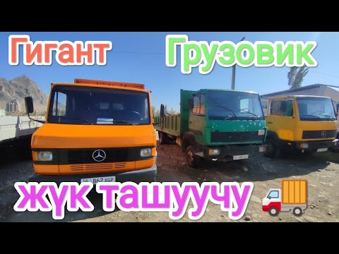 Видео: Жүк ташуучу унаалар 💥 АВТОРЫНОК ОШ ЖАПАЛАК ⭐⭐⭐@TEZjarya 💥💥💥