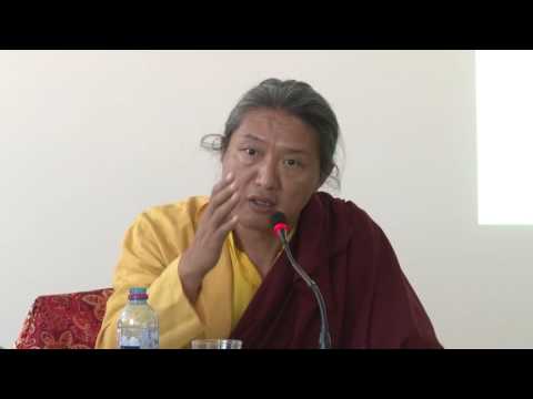 Видео: Джигме Ринпоче о Линии Рипа