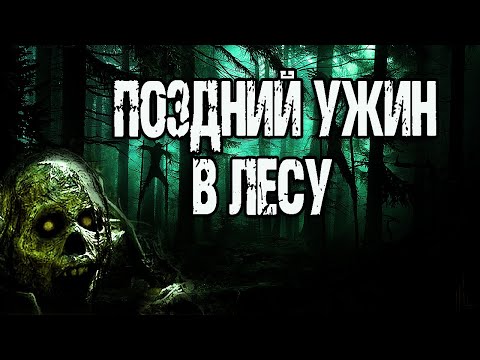 Видео: Страшные истории про лес. ПОЗДНИЙ УЖИН В ЛЕСУ. Мистические рассказы. Истории на ночь про лес. Ужасы