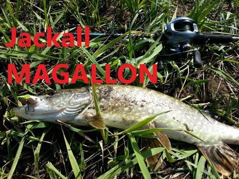 Видео: Jackall Magallon Загляни в мою Коробку!