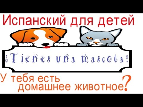 Видео: Испанский язык для детей.Домашние животные на испанском. У тебя есть домашний питомец?