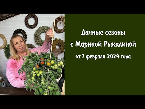 Видео: Дачные сезоны с Мариной Рыкалиной от 1 февраля 2024 года