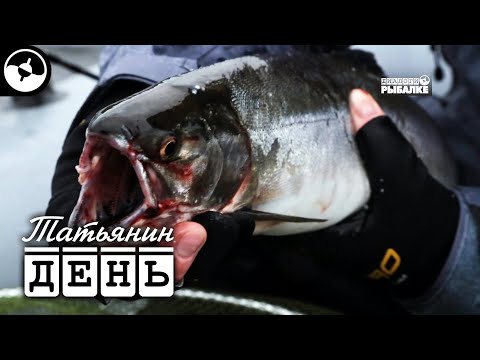 Видео: Горбуша на Кольском | Татьянин день ©