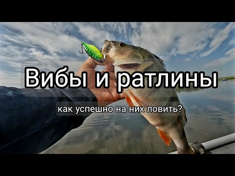 Видео: Как ловить на ратлины и вибы спиннингом? Эффективная проводка.