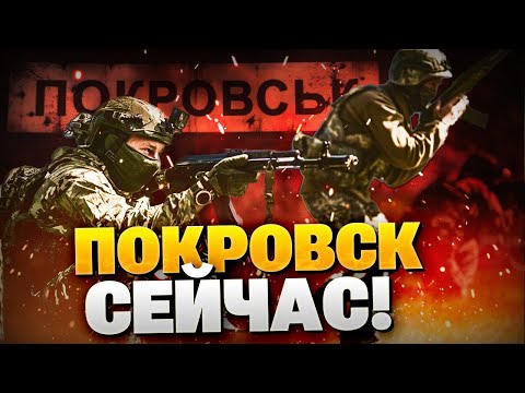 Видео: Известна дата захвата Покровска?! Громкое заявление из Кремля!
