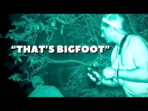 Видео: Мы привели зрителя на охоту на Бигфута, и тут случилось ЭТО