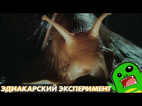 Видео: «По следам монстров» - Эдиакарский эксперимент