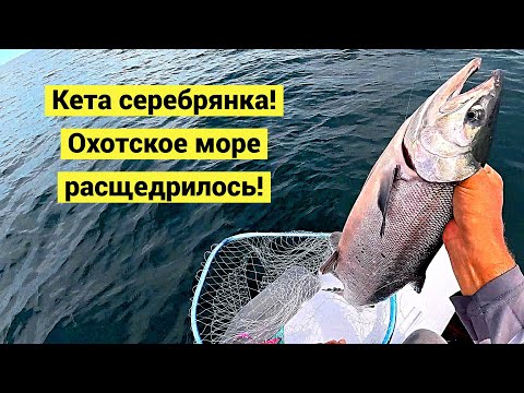Видео: Морская кета серебрянка! Клёв как в сказке!