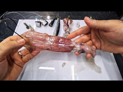 Видео: Как насаживать наживку на крючок как профессионал. Правильный способ оснастки живых и мертвых рыб...