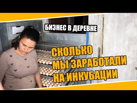 Видео: №0040 Бизнес в деревне на инкубации цыплят насколько выгодно? Жизнь в деревне. Настоящее из хутора