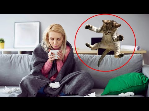Видео: Кот терпеть не мог жену хозяина, а когда она заболела – совершил…