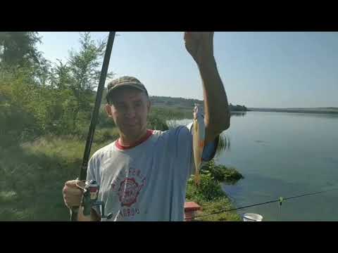 Видео: Рыбалка на Южном Буге в середине августа