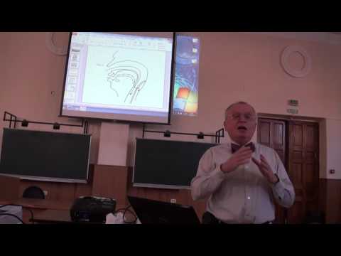 Видео: Василий Власов. Клиническая эпидемиология - единственное средство