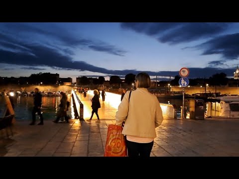 Видео: Пошла искать кота..