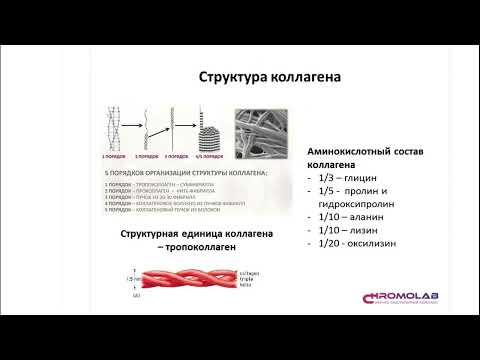 Видео: Метаболомика остеопороза