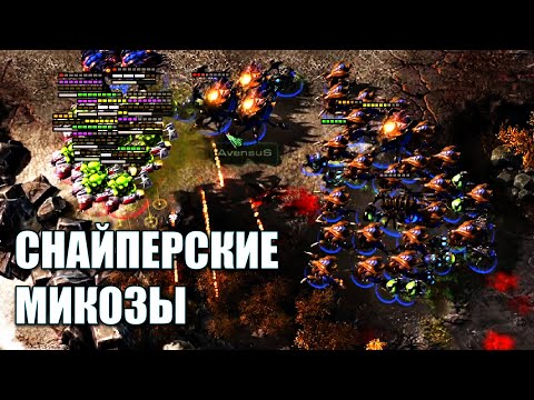 Видео: Самые интересные игры любителей в 2024 году в StarCraft 2