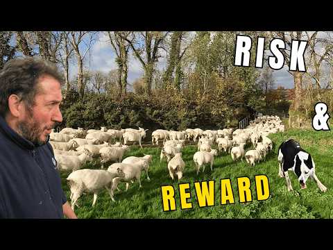 Видео: Фермерство – сдаемся и движемся дальше