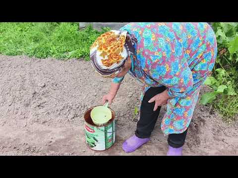 Видео: Полати готовы , посадили клубнику 🍓.
