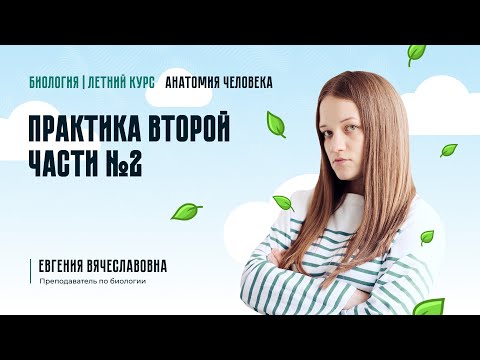Видео: Практика второй части №2 ЕГЭ-2024 по биологии