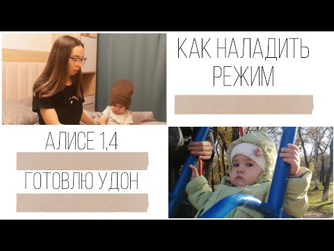 Видео: КАК НАЛАДИТЬ РЕЖИМ / АЛИСЕ 1,4 / ГОТОВЛЮ УДОН