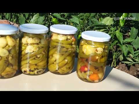Видео: Знаменитый балканский маринованный острый перец с маслом / Рецепт от женщины турчанки из Болгарии.