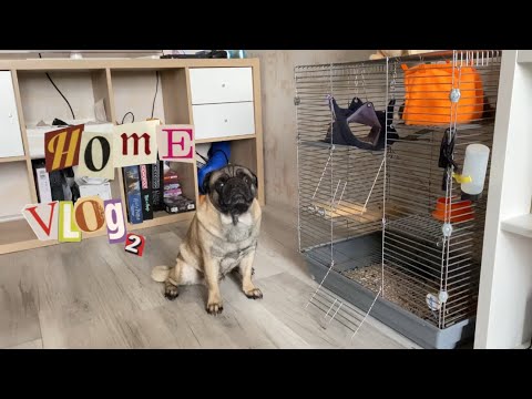 Видео: На память о Твинки 💞