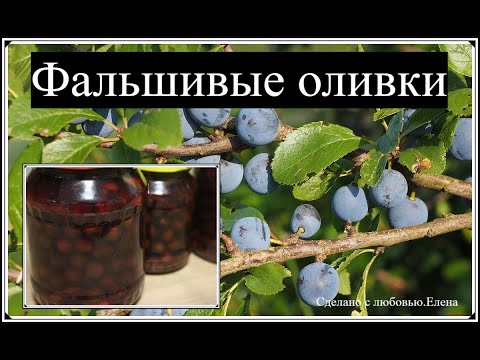 Видео: Маринованный тёрн /Фальшивые оливки к греческому салату /Falscholiven/ Заготовки на зиму