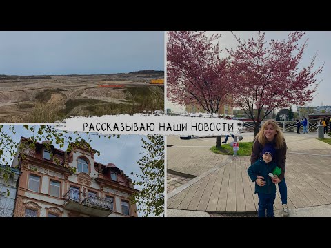 Видео: Нас ждёт трудное решение / получили паспорта, подали документы на утд