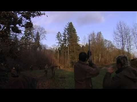 Видео: Охота в Чехии (Ни пуха, ни пера) часть 2