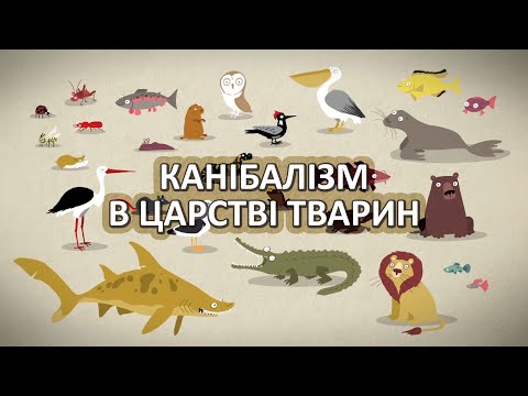 Видео: Канібалізм в царстві тварин [TED-Ed]