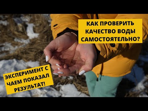 Видео: Анализ воды из скважины | Проверка качества воды | Что мы пьем?