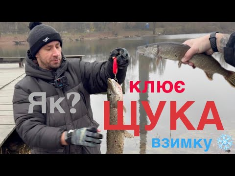 Видео: ПОБИЛИ ВСІ РЕКОРДИ! ЩУКА ЗИМОЮ на ДНІПРІ 🎣 Рибалка на щуку! Ловля щуки на спінінг 2024!