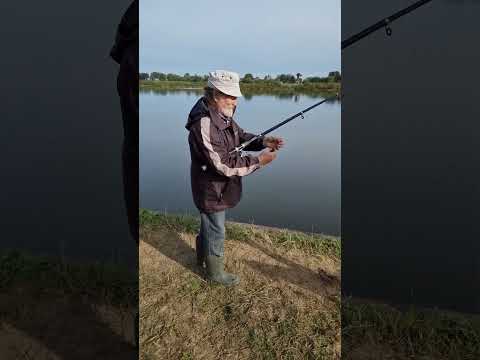Видео: Спортсмен любопытствующий