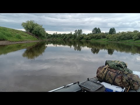Видео: ЕДЕМ НА РЫБАЛКУ С НОЧЕВОЙ