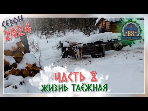 Видео: Регион 88 | Сезон 24 - Жизнь таёжная - часть 8